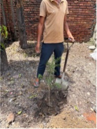 Tree Plantation Green Earth Happy Earth
