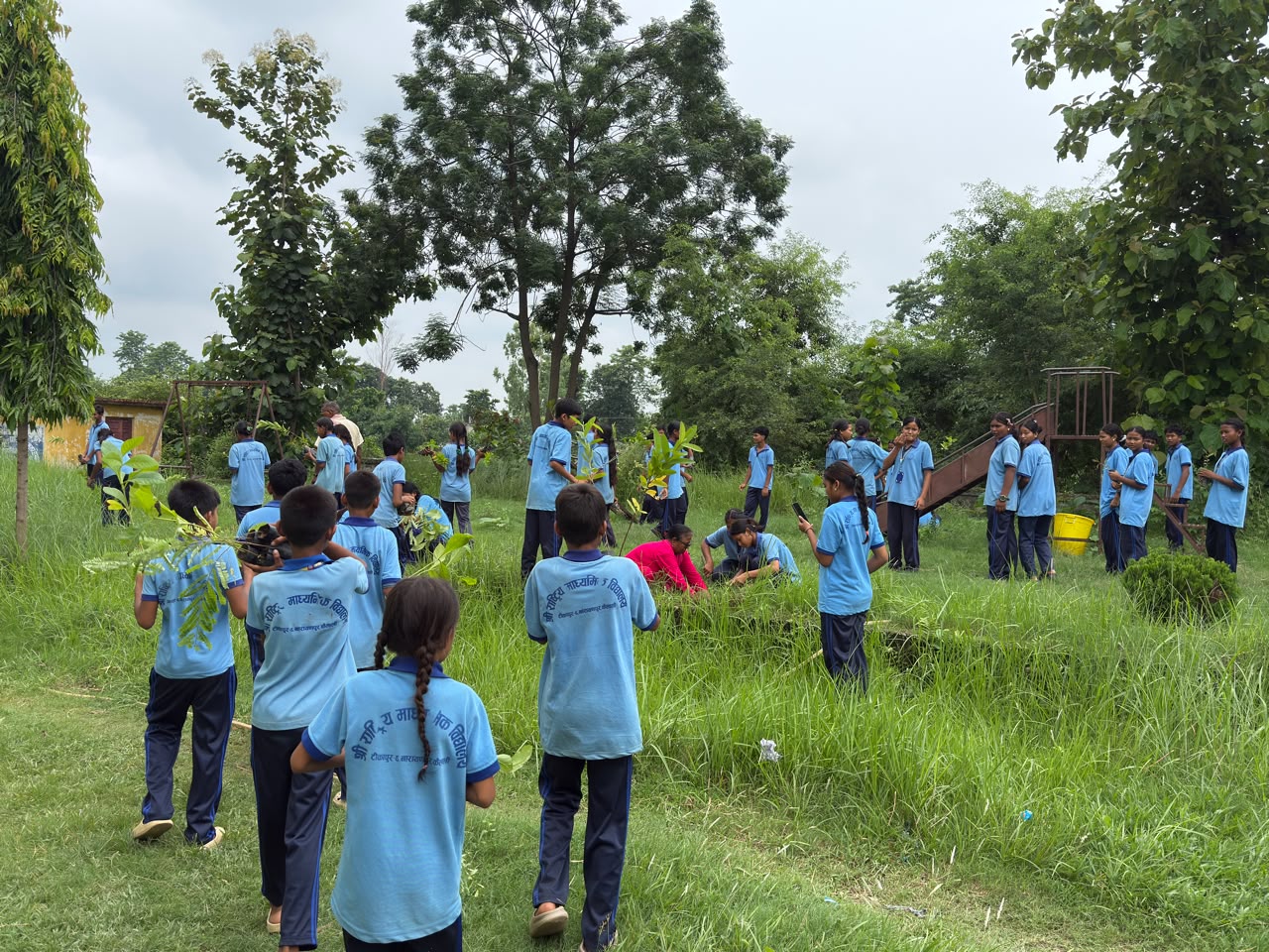 Tree Plantation at Rastriya Mavi School