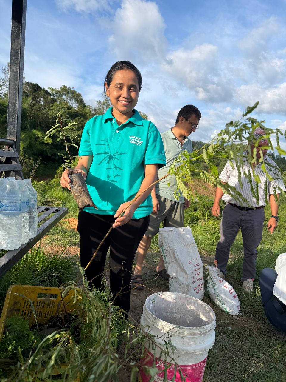 Tree Plantation Program