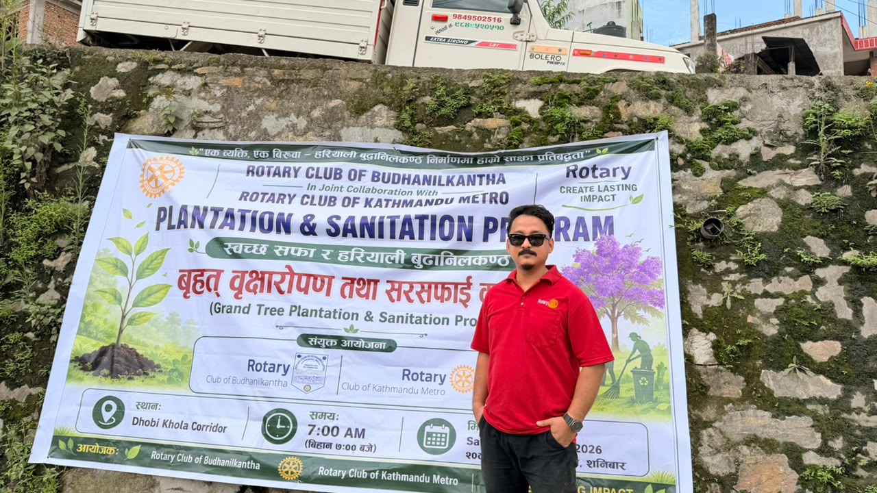 250 Tree Plantation