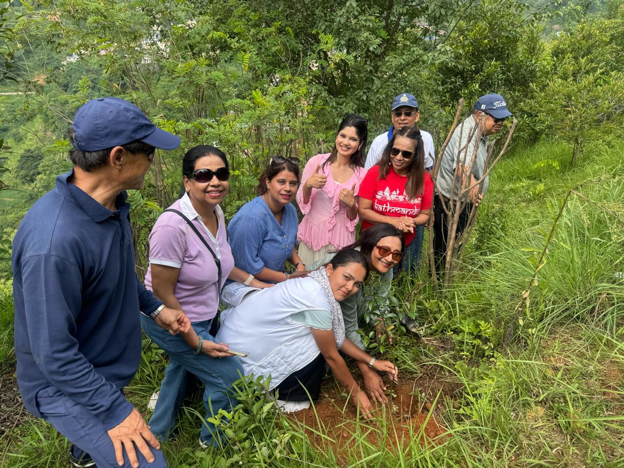 Tree Plantation