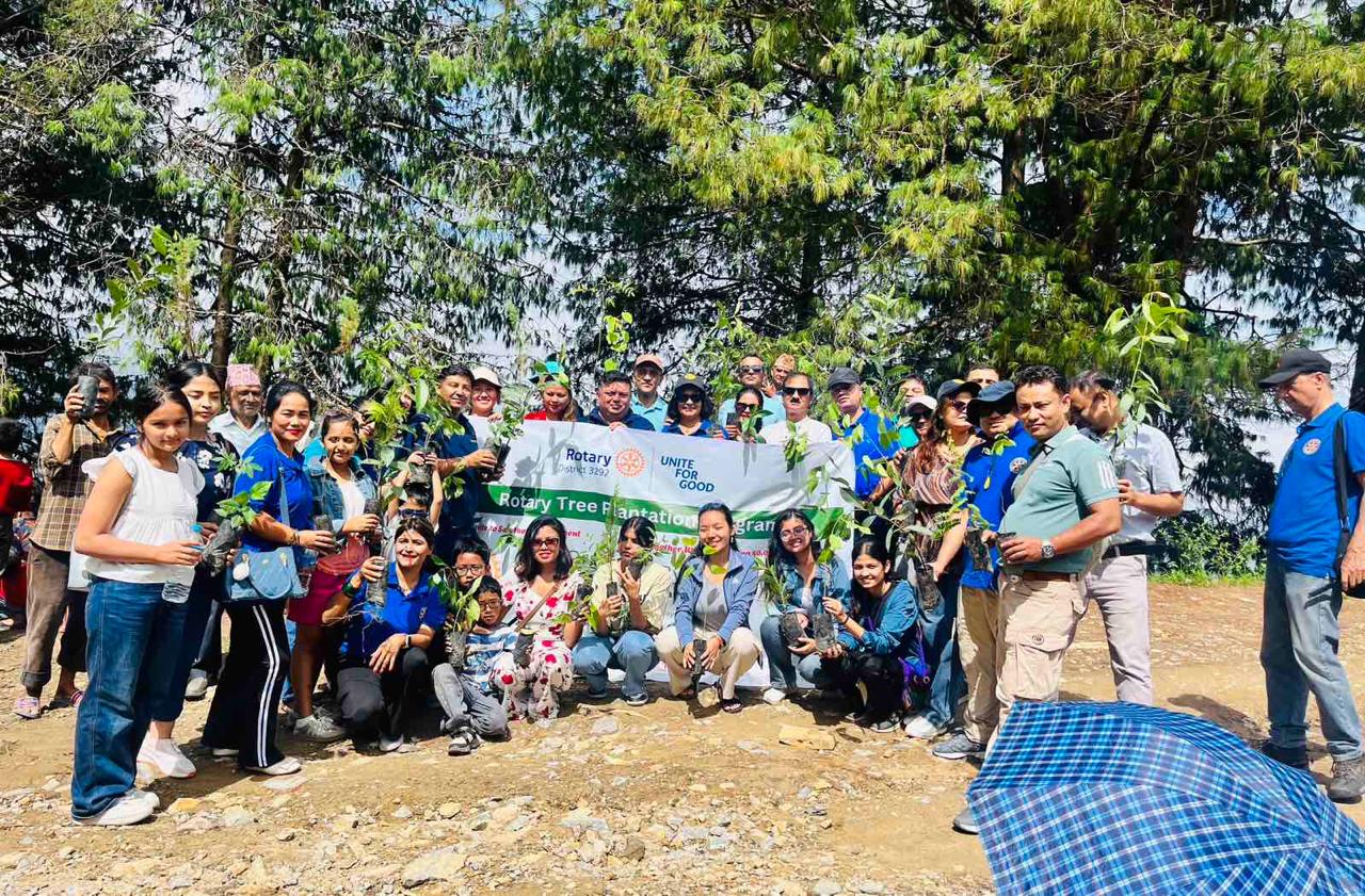 Kalamashi Tree Plantation Project