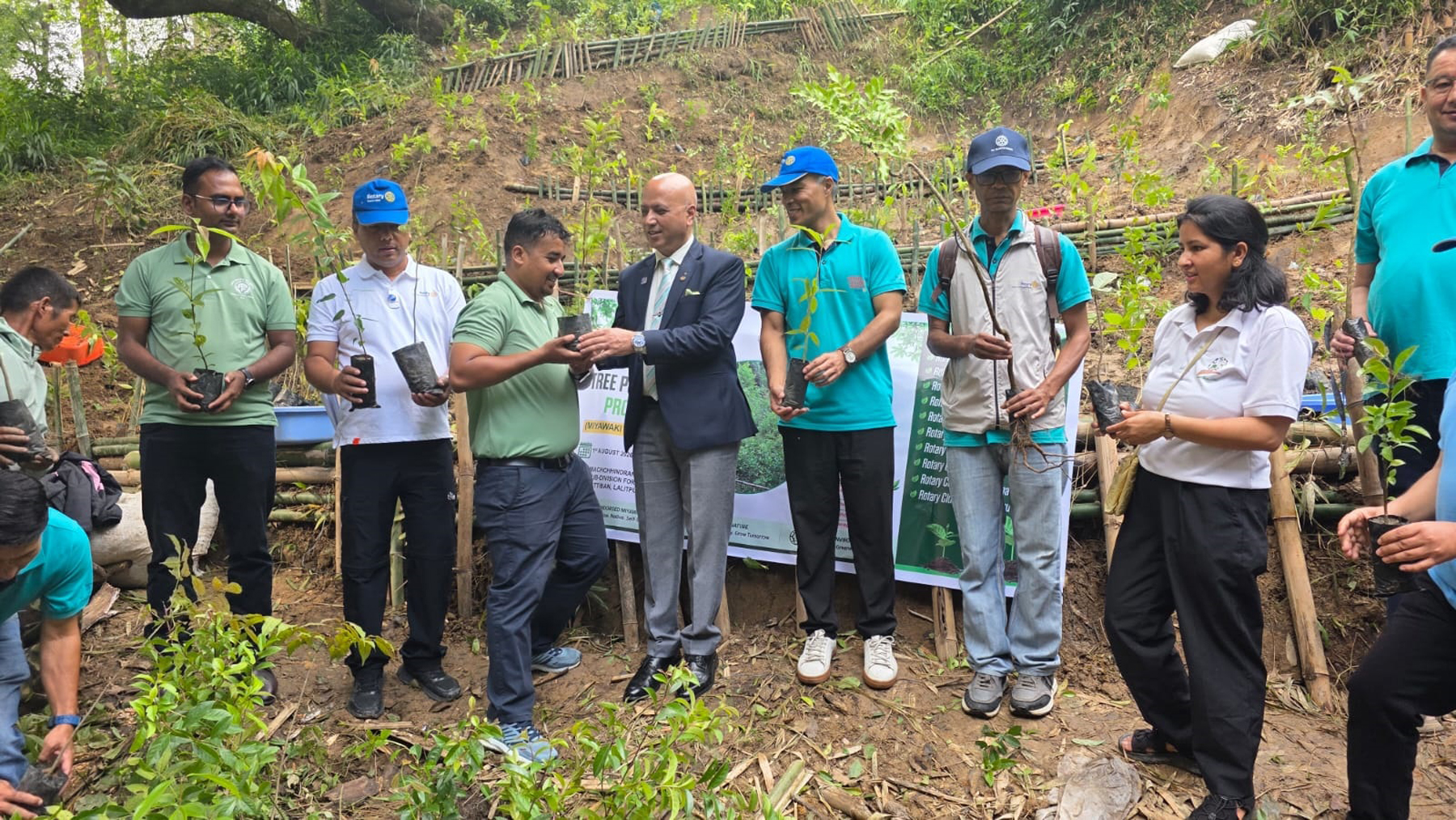 Joint Tree Plantation - Chapter 1