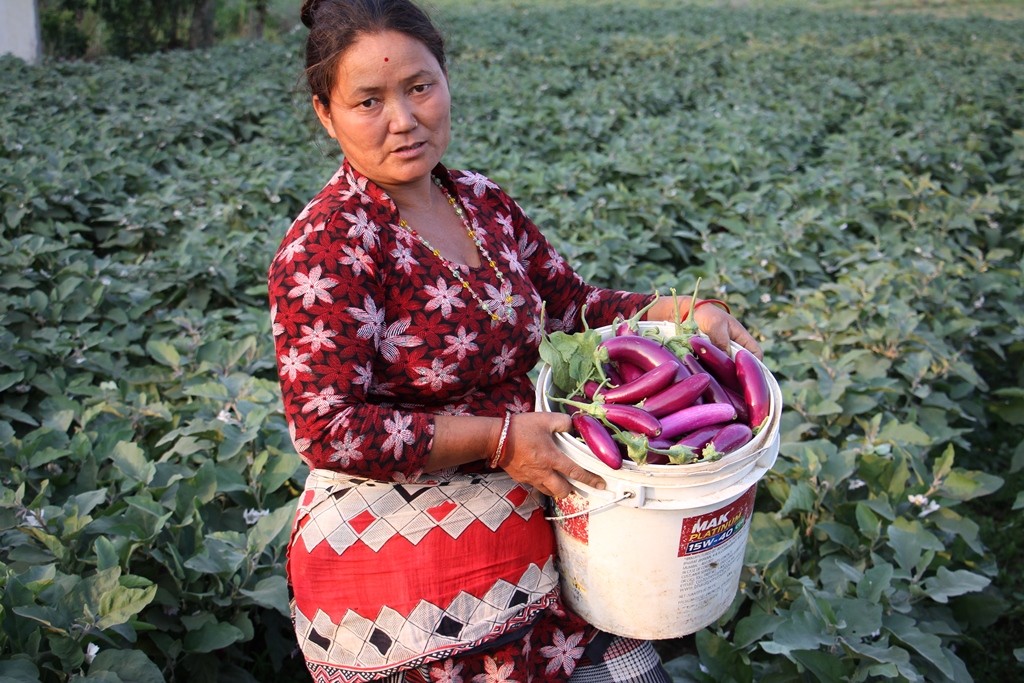 Loan investment under the microcredit program