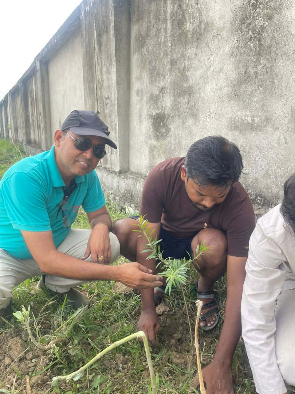 Tree Plantation at Rohini Jointly with sponsored club: Rotaract Club Of Central Rohini