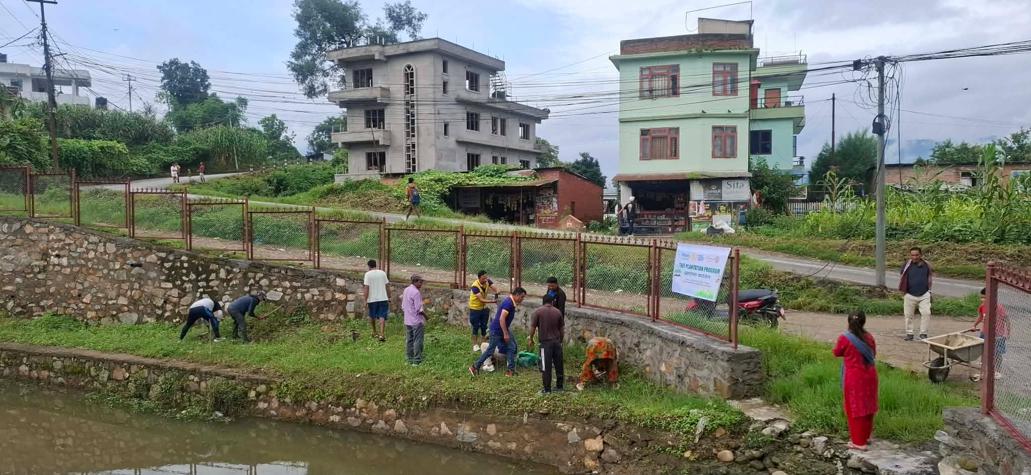 Tree Plantation