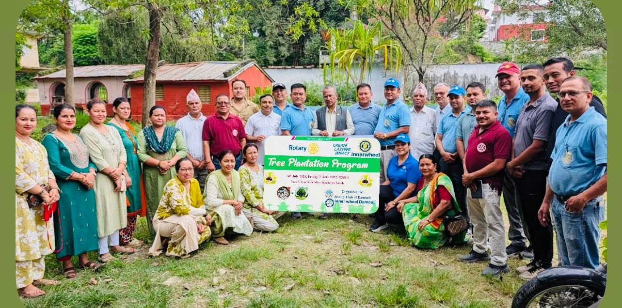 Tree plantation