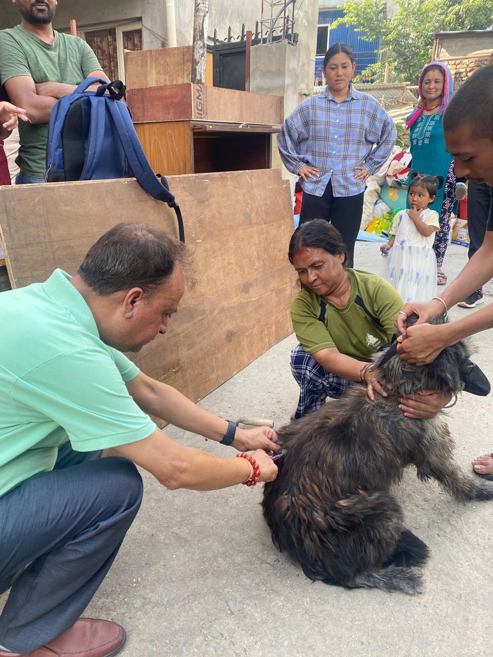 rabies vaccination program -100 dogs