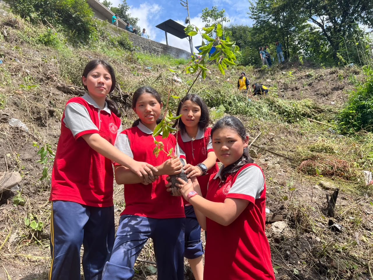 100 Saplings Planted at Jambu Danda for a Greener Future