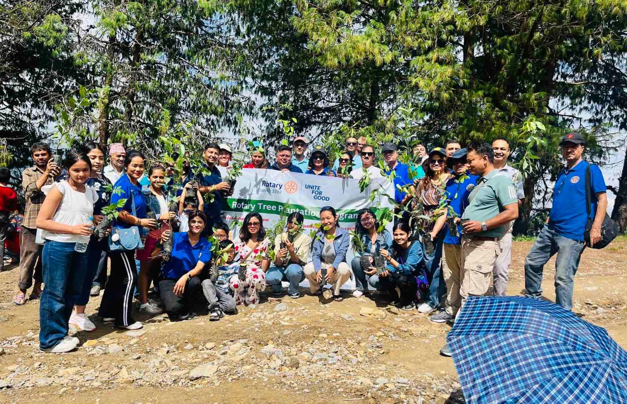 Kalamashi Tree Plantation Project