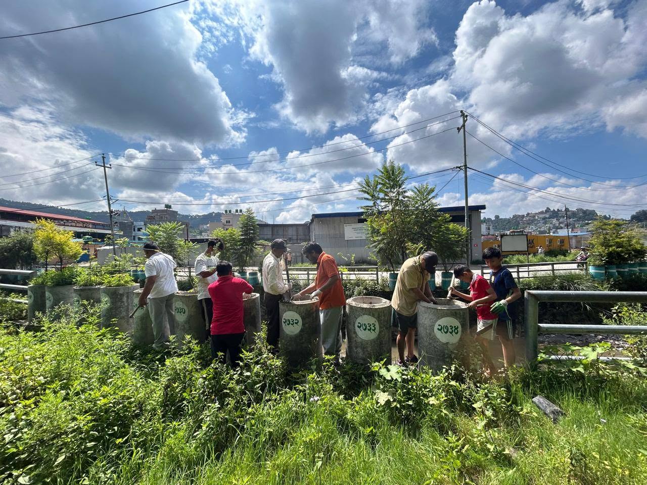 250 Tree Plantation