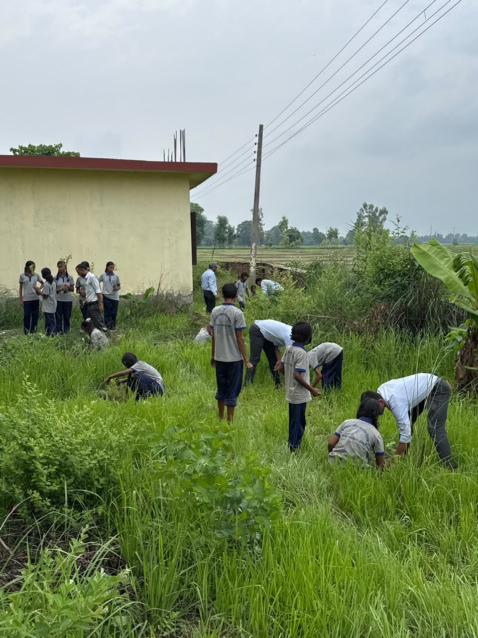 Tree Plantation at Bhanubhakta Rastriaya Aadharbhut School