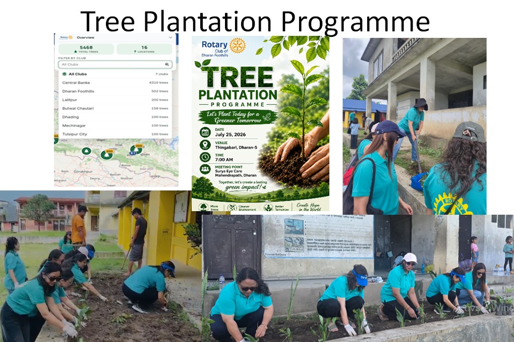 Tree Plantation Programme