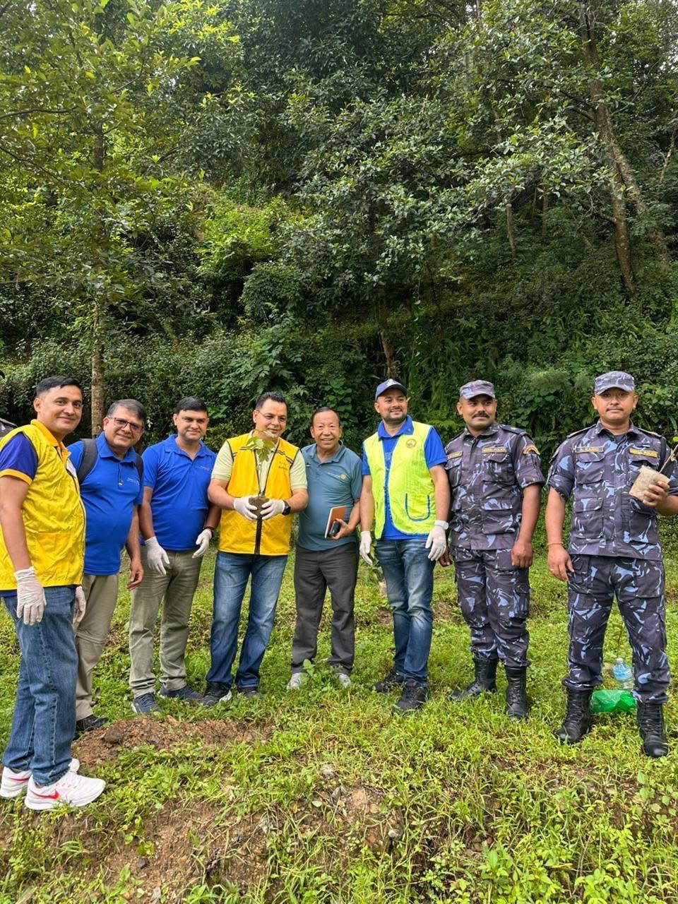 Plantation