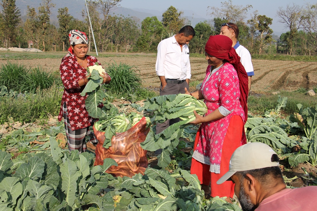 Loan investment under the microcredit program