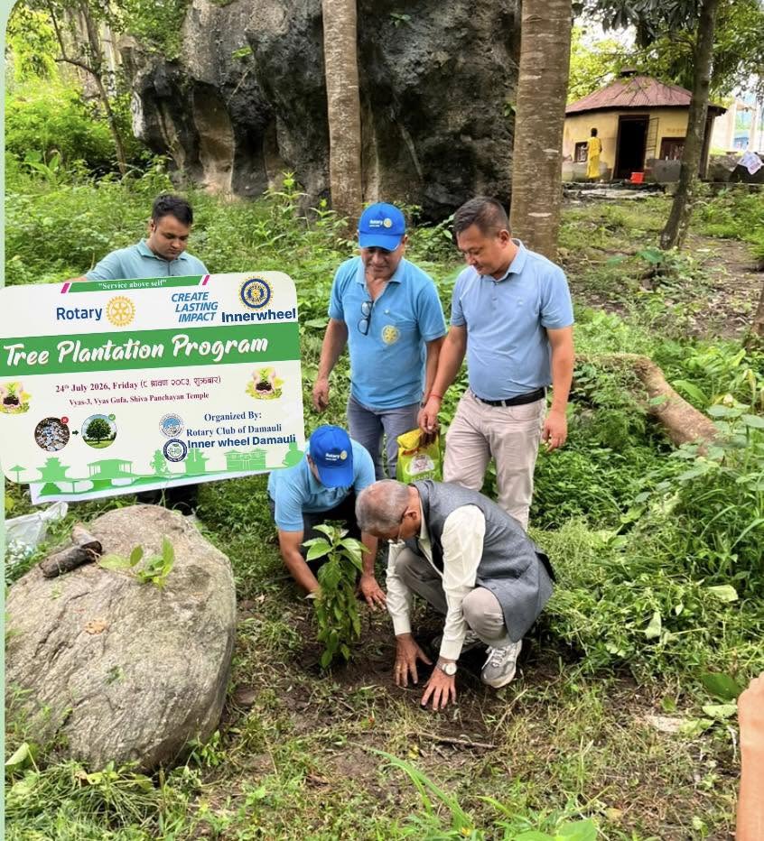 Tree plantation