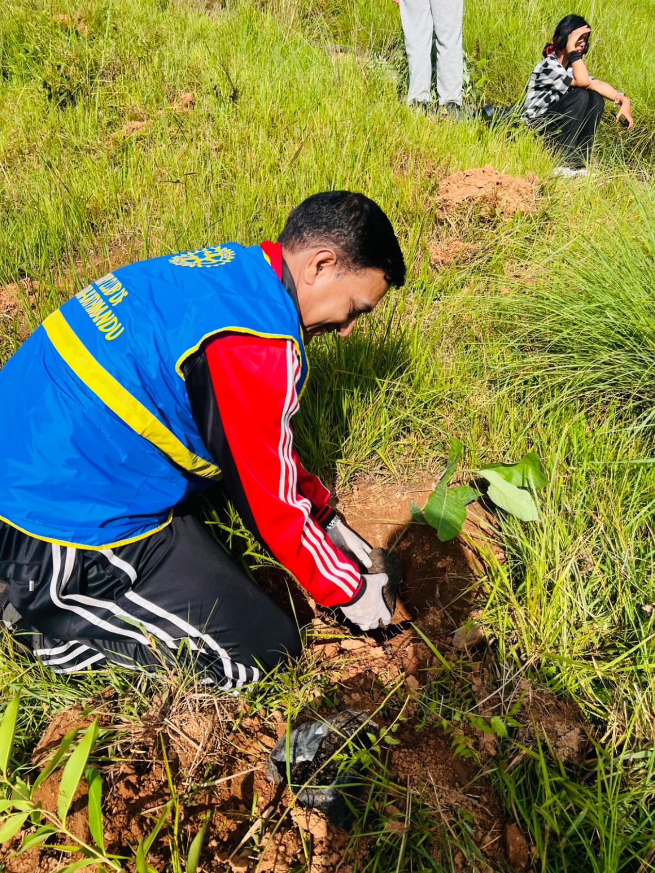 Tree Plantation Program