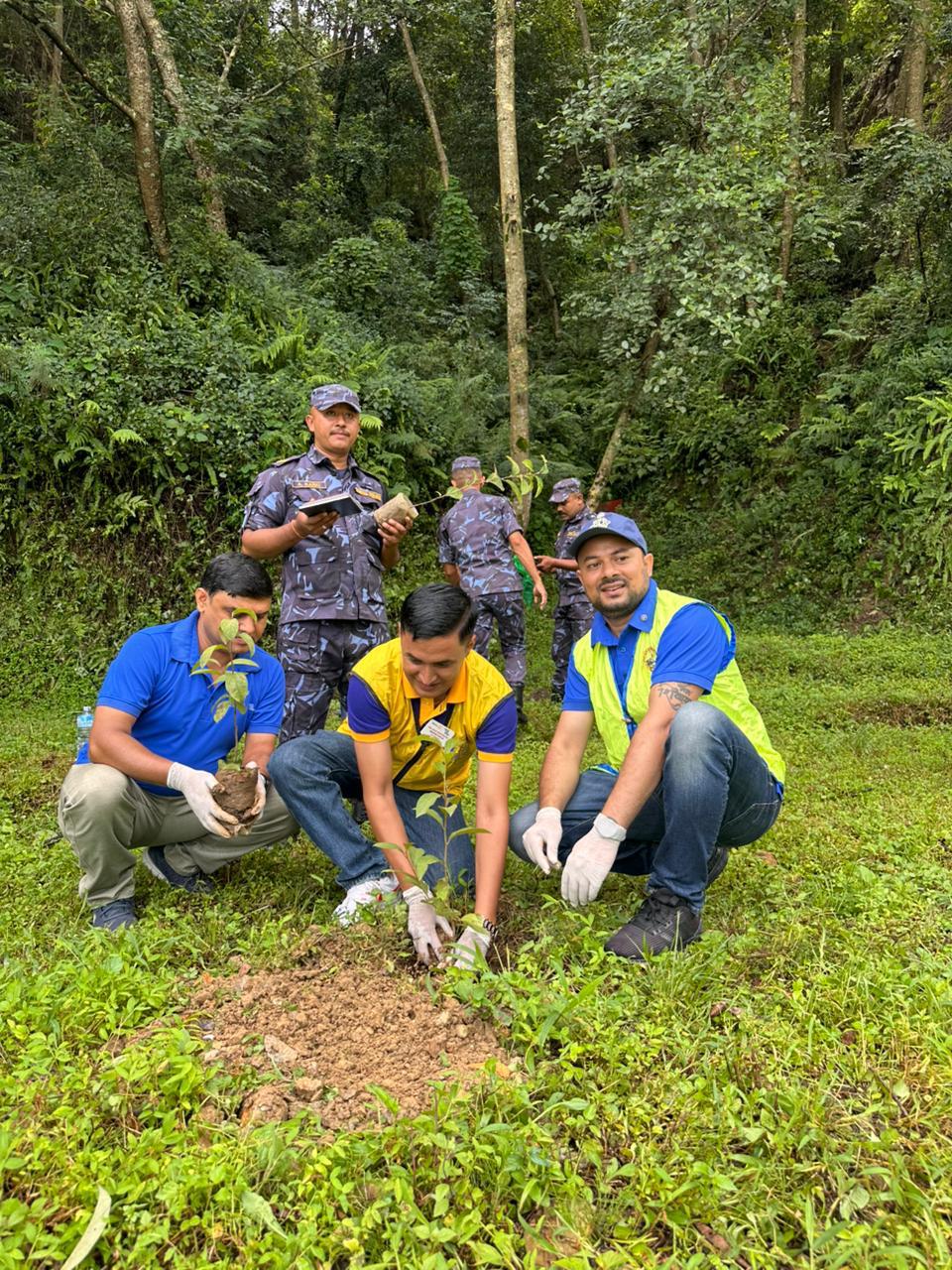 Plantation