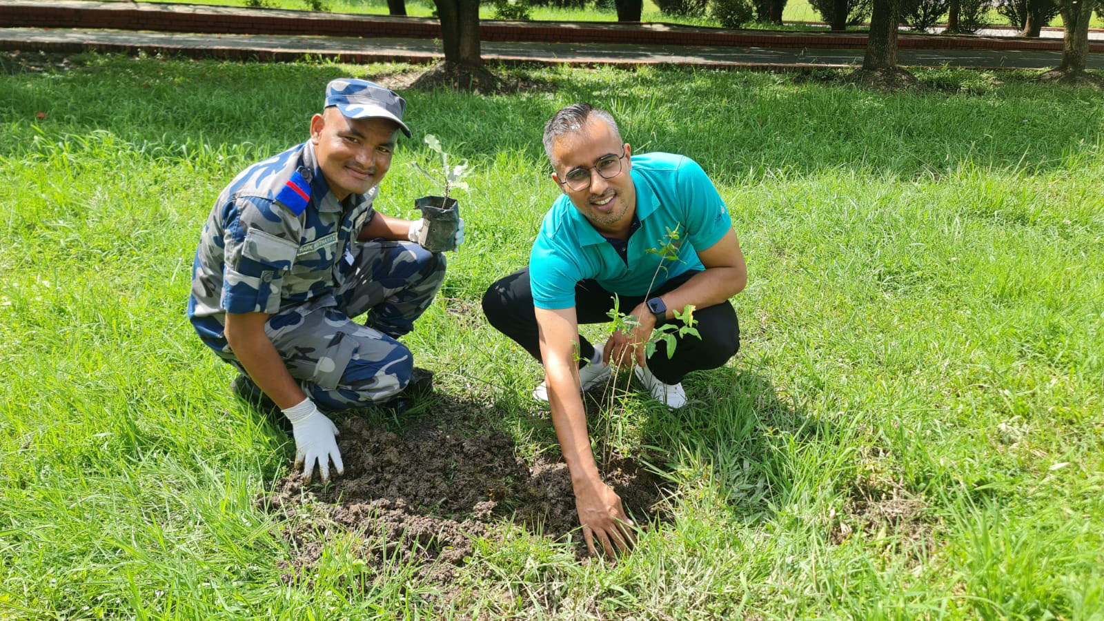 Fruits Tree Plantation