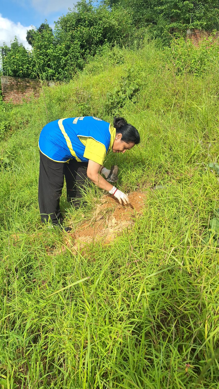 Tree Plantation Program