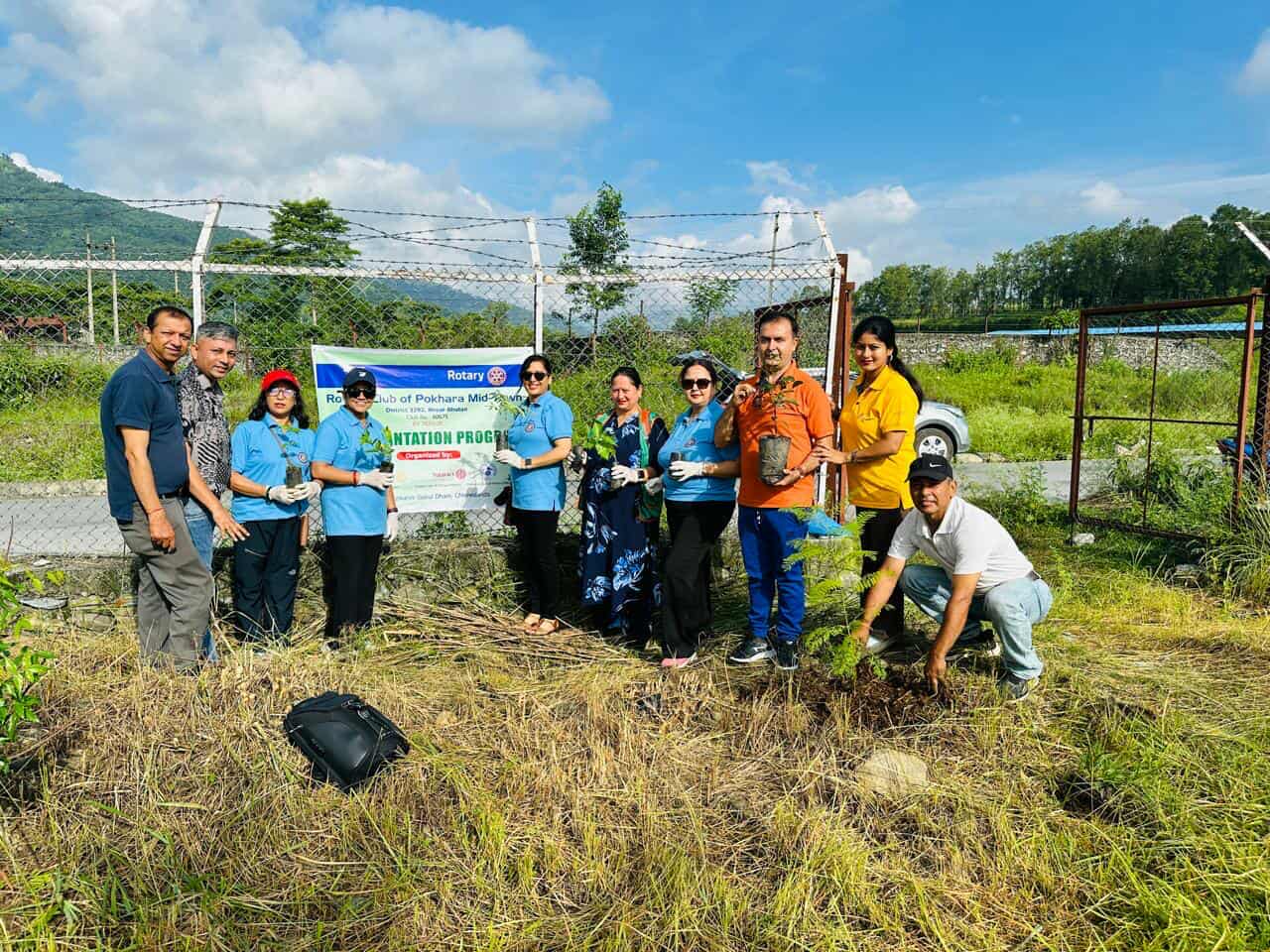Tree Plantation