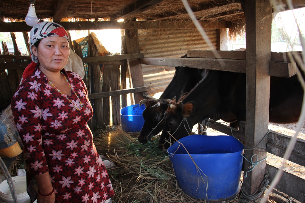 Loan investment under the microcredit program