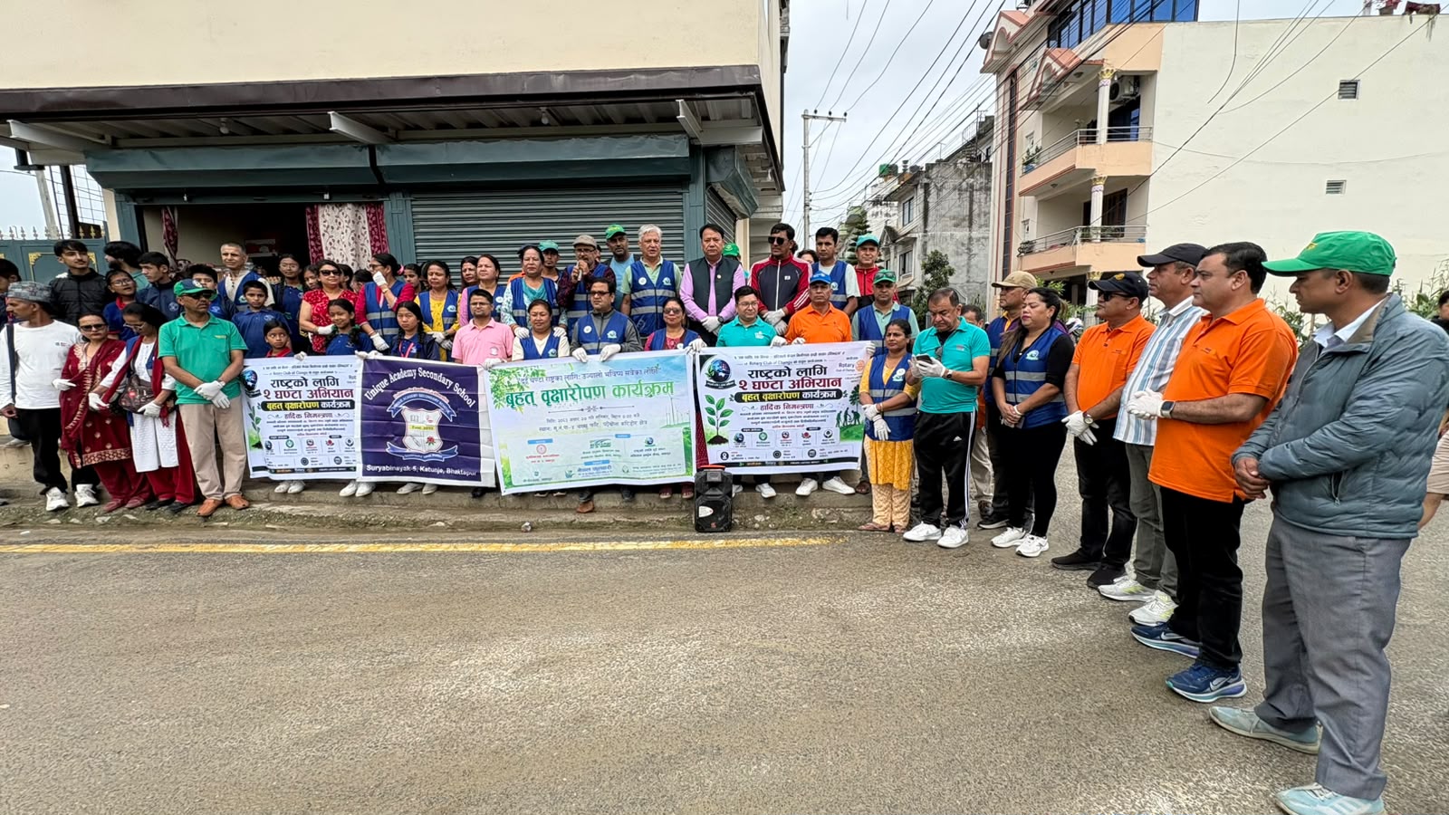 Tree Plantation