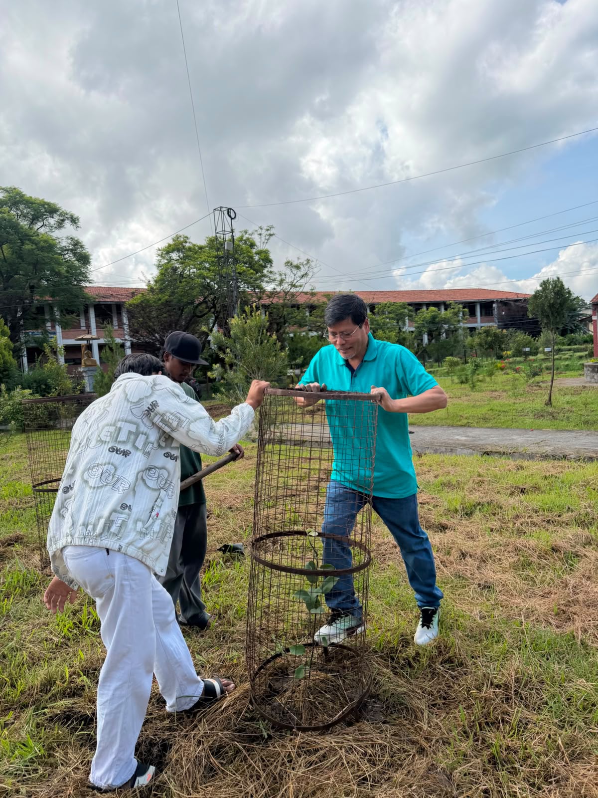 Tree plantation Program
