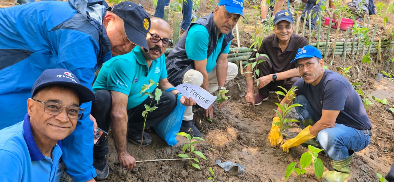 Re-plantation of Community  Plantation