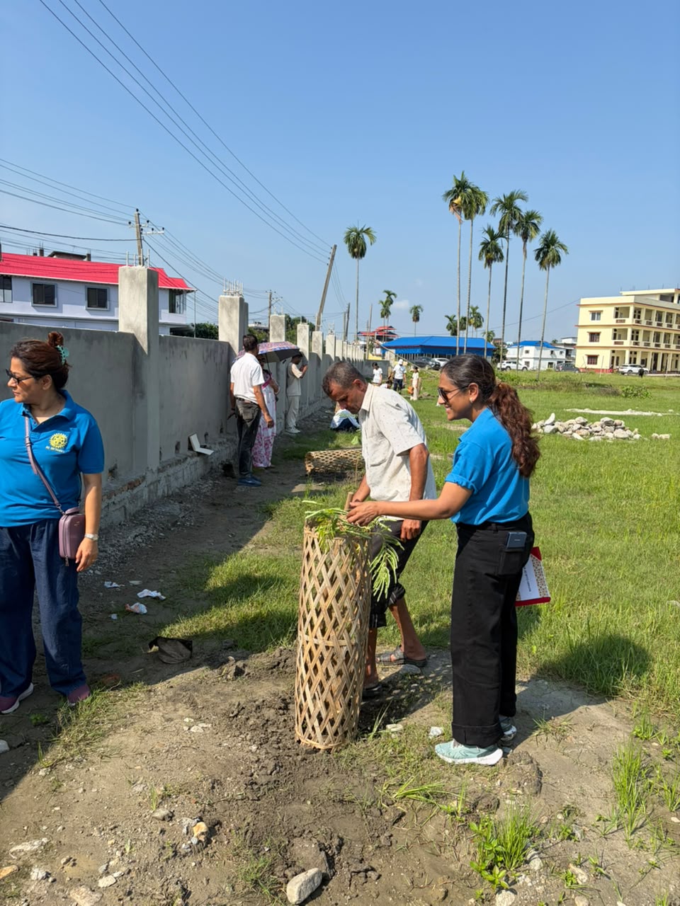 Tree Plantation Program