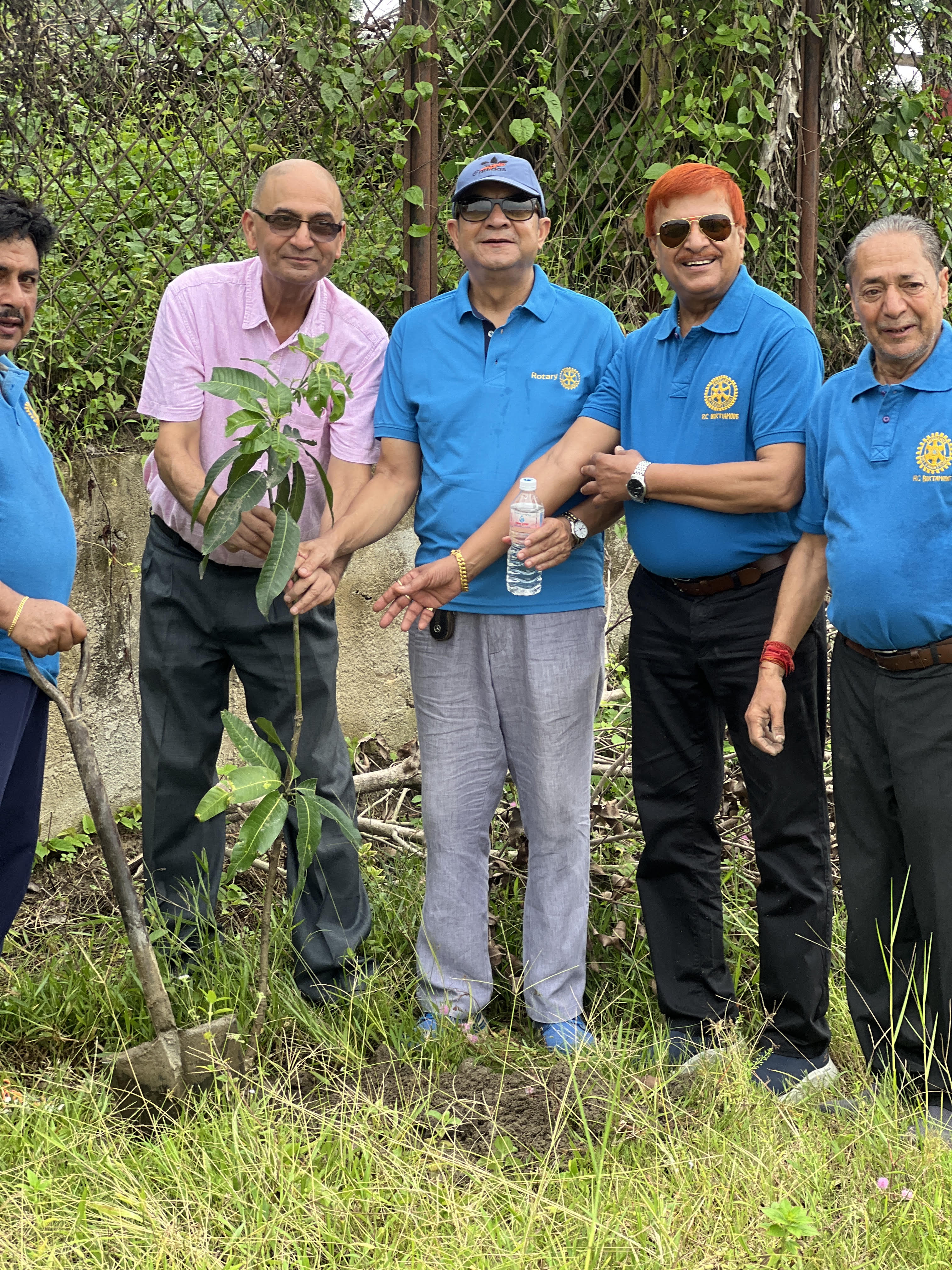 Rotary Tree Plantation Program